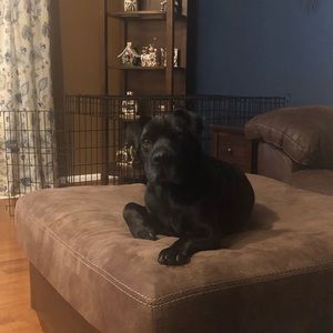 Meet your Posher, Stacy